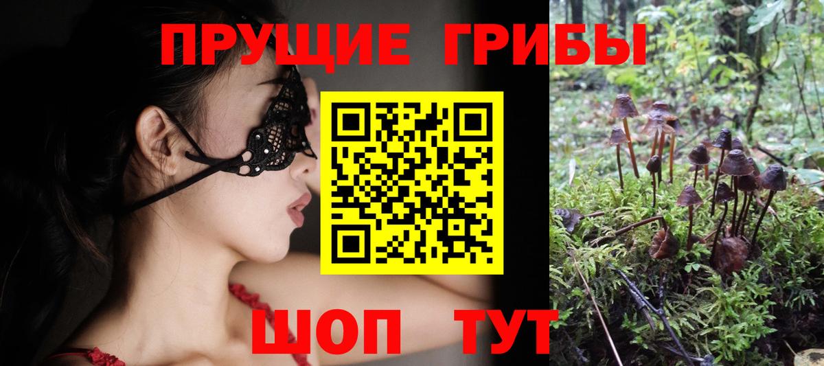 Сосновоборск  Галлюциногенные грибы ЛСД  купить   Вход с VPN 
